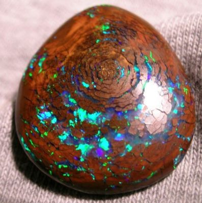 Gỗ Hóa Thạch Opal