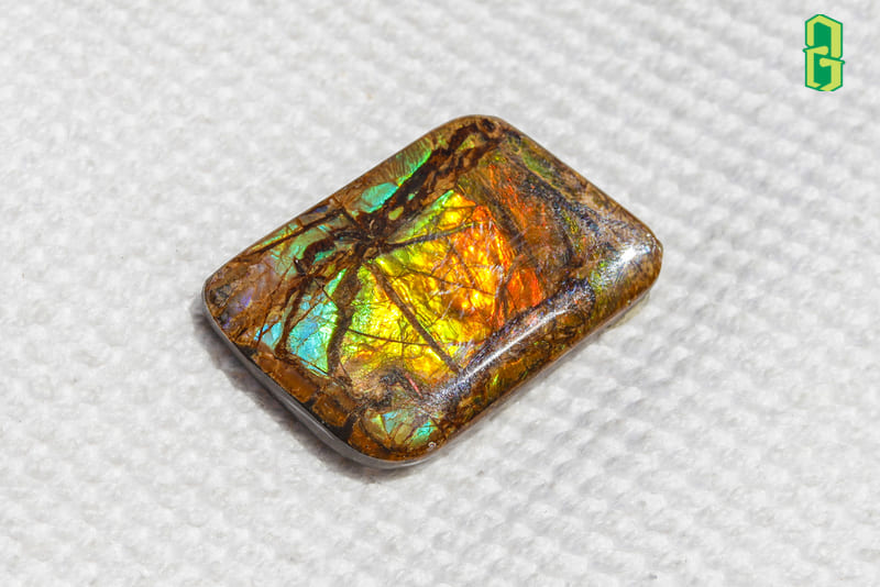 Màu sắc của ammolite