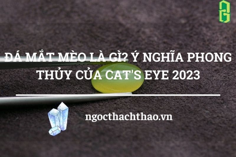 Đá Mắt Mèo Là Gì? Ý Nghĩa Phong Thủy Của Cat's Eye 2023