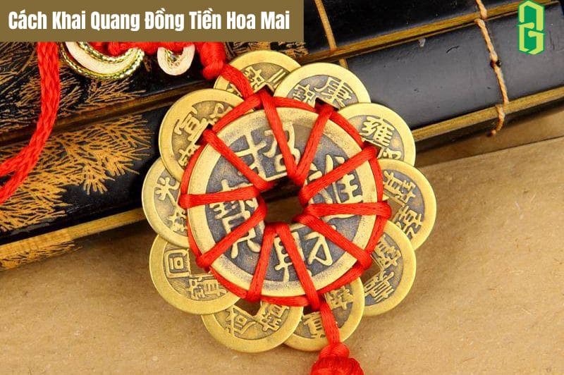 Cách Khai Quang Đồng Tiền Hoa Mai